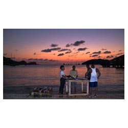 bequia caribbean fishing landing
 fish land  photo stock