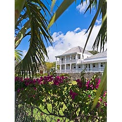 fairview great house st
 kitts caribbean garden  photo stock