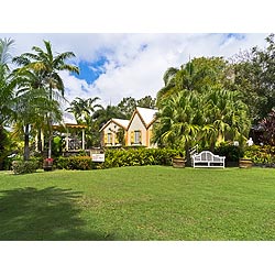 romney manor st kitts botanical
 garden  photo stock