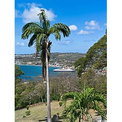 scarborough caribbean marco polo
 cruise ship  photo stock