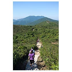 hong kong dragons back trail walking path china  photo stock