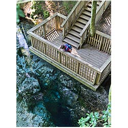 tourist new zealand rotorua spring water clear  photo stock