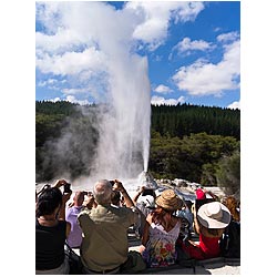 lady knox geyser rotorua geysers new zealand photo  photo stock