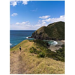 people new zealand hike woman tourist walking path  photo stock