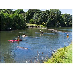 kayak new zealand family kayaking canoe children  photo stock