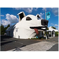 tirau new zealand tourism information centre site  photo stock