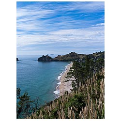 new zealand coast line hahei beach coromandel  photo stock