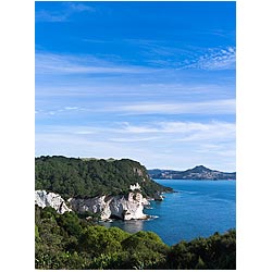 coromandel peninsula new zealand coast green  photo stock