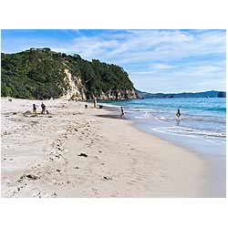 new zealand holiday beach hahei coromandel family  photo stock