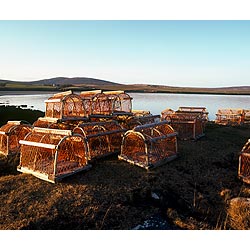 Swanbister - Lobster crab creels Scapa Flow coast cages pot scotland uk fishing fish pots  photo 