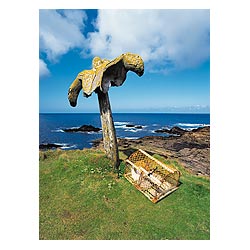 Whale bone - Whale bone and creel whalebone  photo 