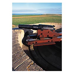 Martello tower Hackness - Cannon on top of  Martello tower ramparts coastal defences napoleonic wars  photo 