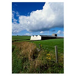 Allied Distillers - Fence fields Lingro farm  Distillery whisky scottish countryside scotland  photo 