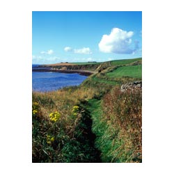 Foot path walk - Cliff top footpath scotland  photo 