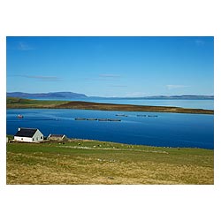 Norquay Fish Farm - Fish cages Hunda Scapa Flow farming scotland rural house uk cottage by sea  photo 