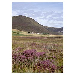 Rackwick - Heather cottages Clicknafea  photo 