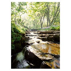 Woodwick House - Waterfalls river bluebells wood scottish uk spring stream scotland  photo 