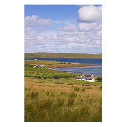 Remote cottages - Grassy fields spike rush sedge houses scotland cottage coast uk  photo 