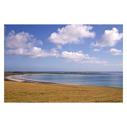 Backaskaill Bay - Field of Barley bay peninsular Kettletoft blue sky crop white clouds Scotland  photo 