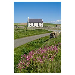  - White washed church Bay of Skaill Red Campion flowers  photo 