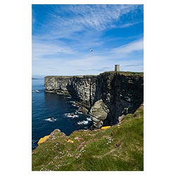 Marwick Head - Kitchener Memorial sea pinks on seacliff top RSPB Nature reserve coastline  photo 