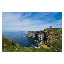 Marwick Head - Kitchener Memorial sea pinks on seacliff top RSPB Nature reserve coast uk  photo 