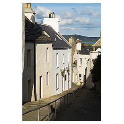 Graham Place - Cat in street lane Hamnavoe restaurant town houses buildings scotland  photo 