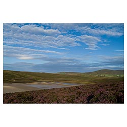 Waulkmill Bay - Purple heather above sandy bay and Ward Hill  photo 