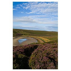 Waulkmill Bay - Footpath through purple heather down to sandy bay  photo 