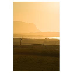 Loch of Harray - Sheep in field orange dusk sunset  photo 