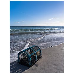 Newark Bay - Crab pot lobster creel sand beach sea  photo 