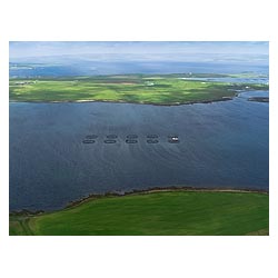  - Circular salmon cages fish farming uk farm scotland salmon cage nets  photo 