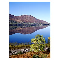  - Green leaved trees golden autumnal brown bracken lochside loch reflections  photo 