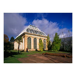 Botanical palm house - Couple tourists glasshouse gardens people Scotland  photo 