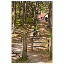 Cairngorms National Park - Mountain biking dog activities woodland scotland bike ride aviemore girl uk  photo
 